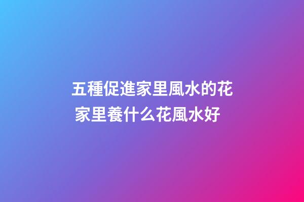 五種促進家里風水的花 家里養什么花風水好